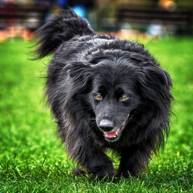 Tomasz Naglik #348849