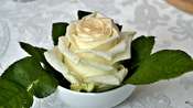 Picasa 
