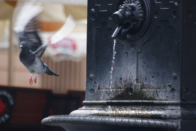 SONY DSC piotr640924 #176108