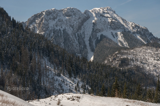 J. Pawel PELECH #315045