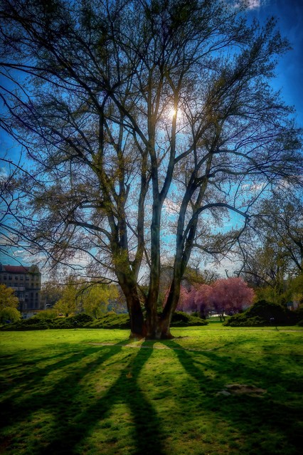 Tomasz Naglik #348875