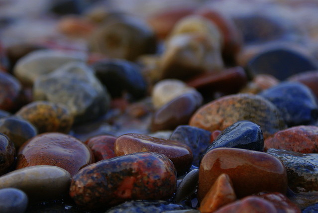 SONY DSC Picasa #135869