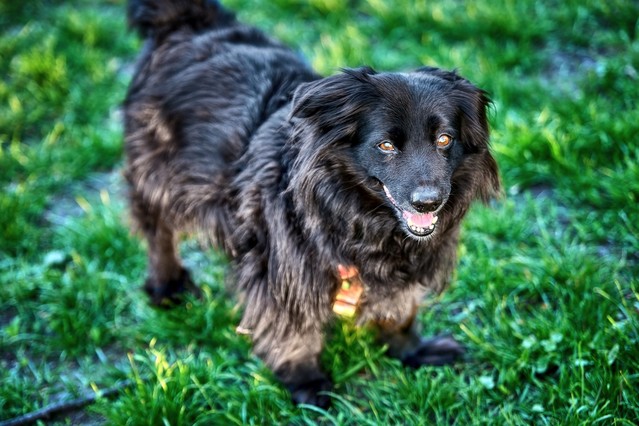 Tomasz Naglik #348899