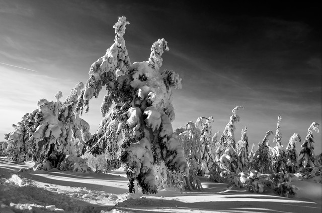 zbynek Góry Izerskie Stóg Izerski - Świeradów Zdrój