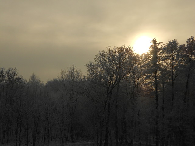 Artur Oziewicz #182807