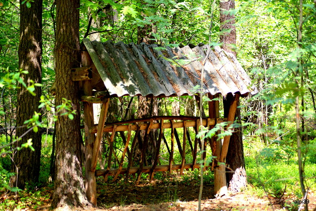 SONY DSC Picasa #145455