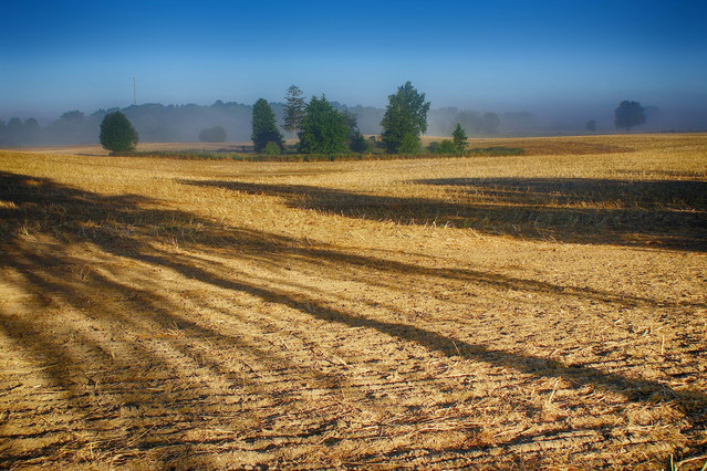 Sławek Rezerwa 