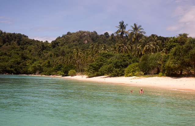 Jacek Pióro #305134