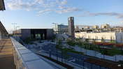 Picasa 