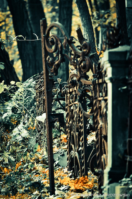 Sąsiedzi Cmentarz żydowski w Warszawie... 
Za murami cmentarza