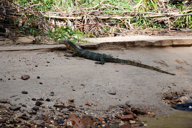 Jacek Pióro #301490