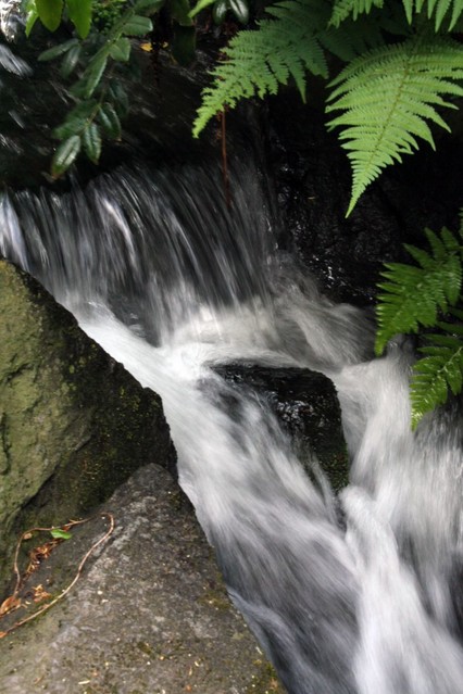 Marta Lipowska #146693