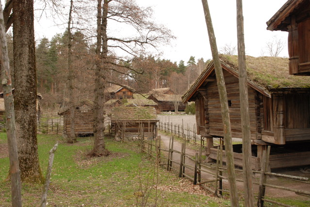 Jacek Pióro #262560