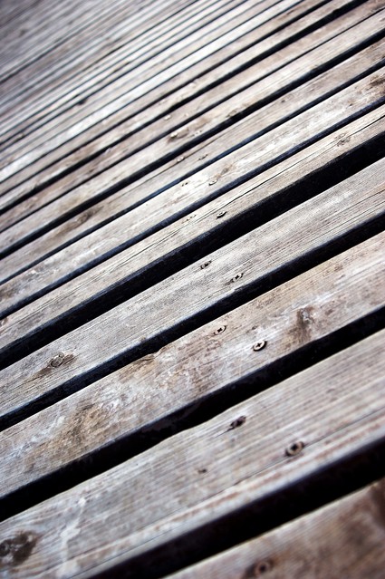 SONY DSC Unknown #264285