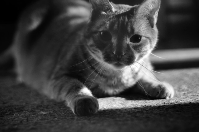 Sławek Rezerwa #348860