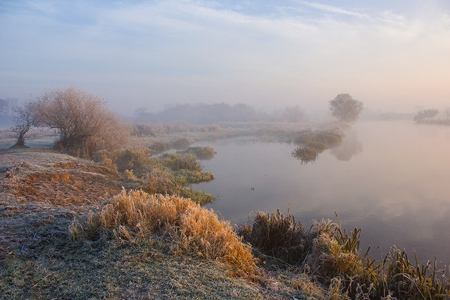 Pawel Plucinski #284542