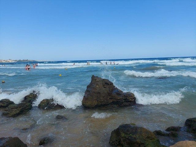 Edmund wronka #348066