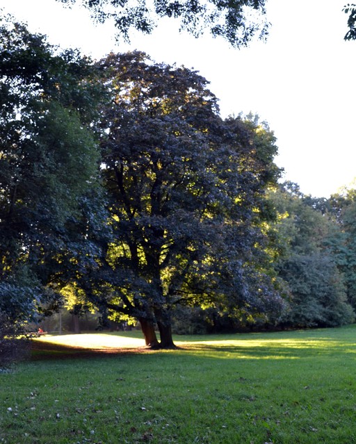 Jenna Olkowicz #110465