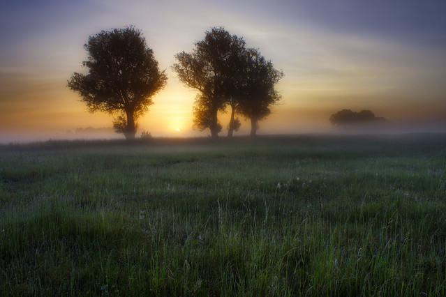 Sławek Rezerwa #349015