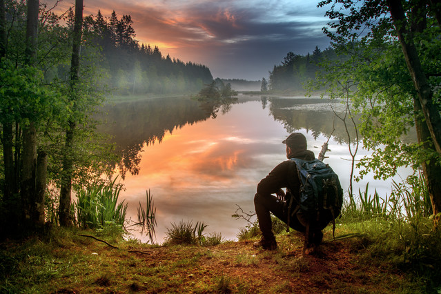 MikolajAniol #331378