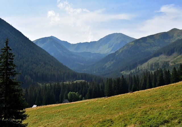 Na Chochołowskiej ... Zygzag #343152
