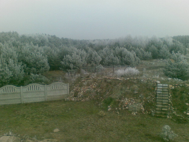 Janusz Metzger #199213