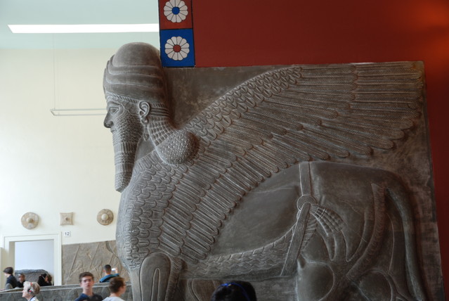 Jacek Pióro #262020