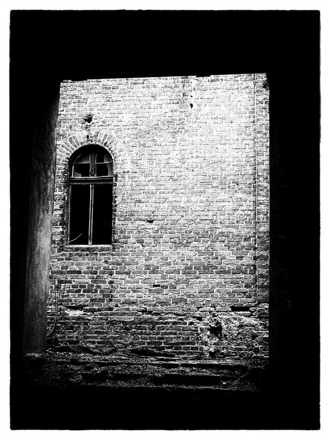 Piotr A. B. OLYMPUS DIGITAL CAMERA