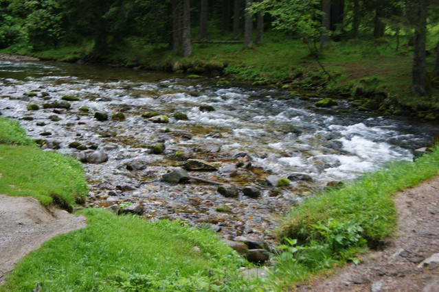 SONY DSC ZYGMUNT CZARNECKI #173948