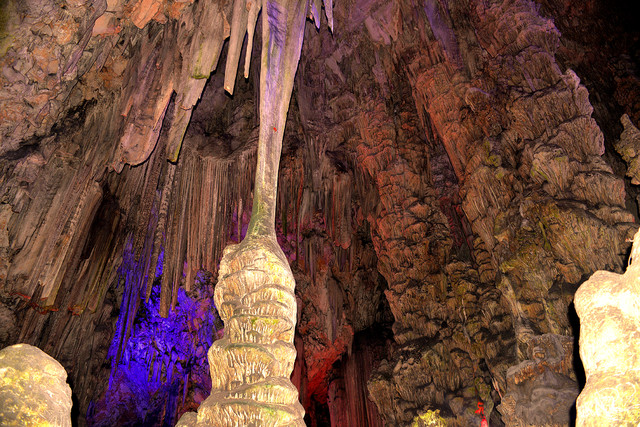 Jaskinia św. Michała na Gibraltarze Dariusz Wojtala #309095