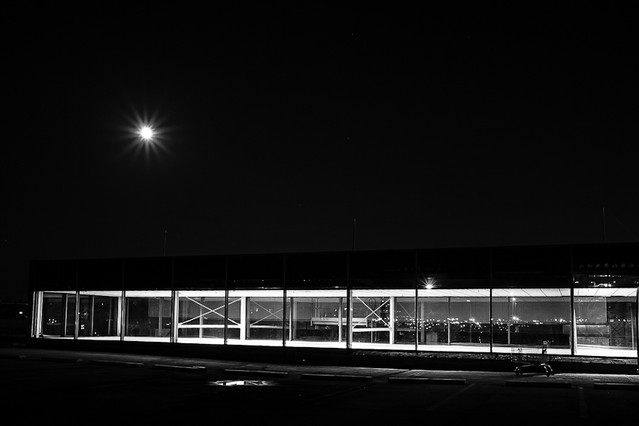 Małgorzata Frohmberg #168870