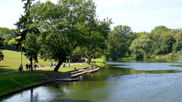 SONY DSC Picasa #166379