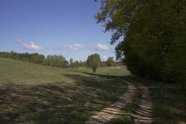 MarekCzubaszek 
