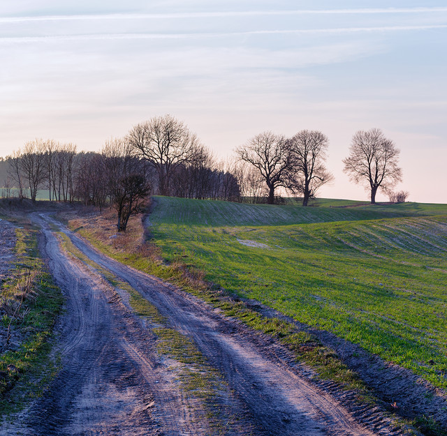 Polna droga Krzysztof Tollas #305498