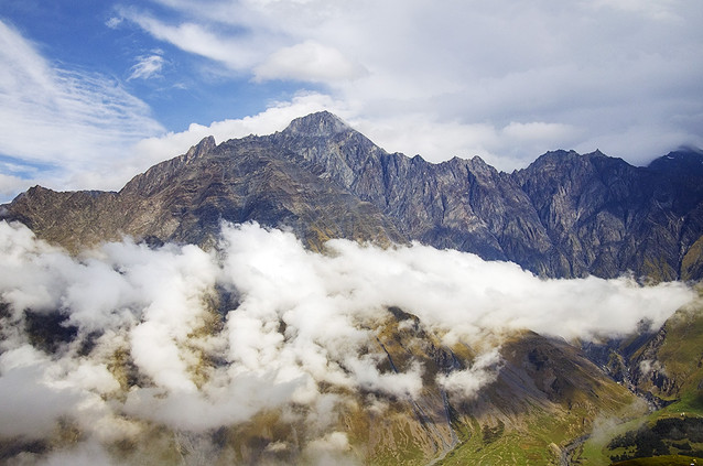 petronidas #265270