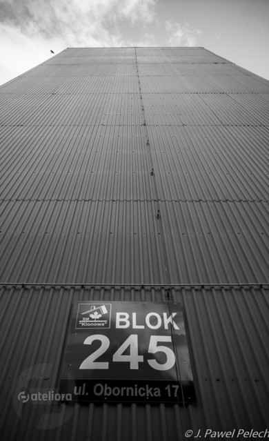 J.PAWEL PELECH #329888