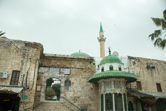 Jacek Pióro #323052