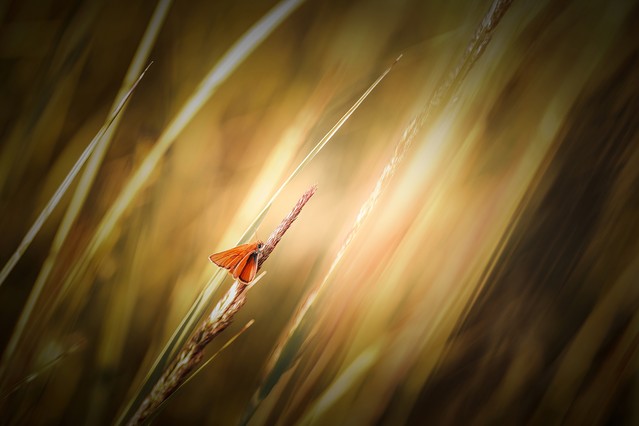 MR86 Siedzimy i czekamy