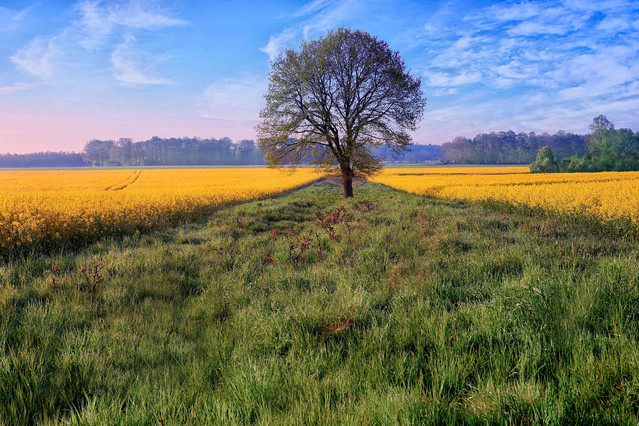 Sławek Rezerwa 