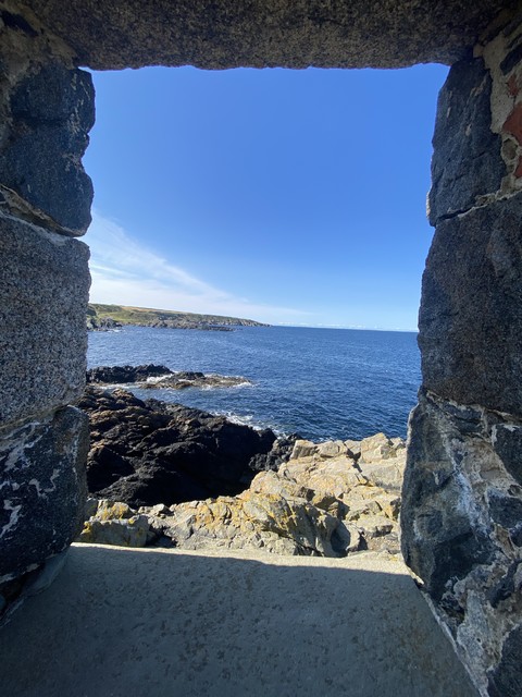 Bogumiła Sipel #346764