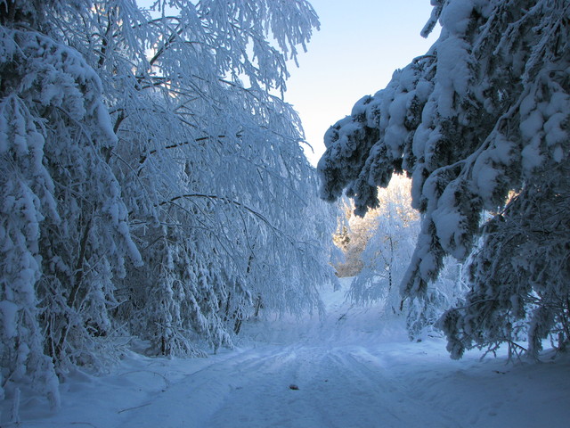 Mateusz Gryga #287963