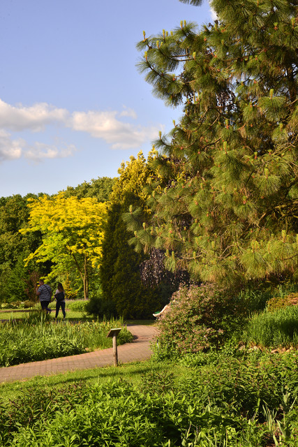 Powsin Dariusz WojtaIa #318791