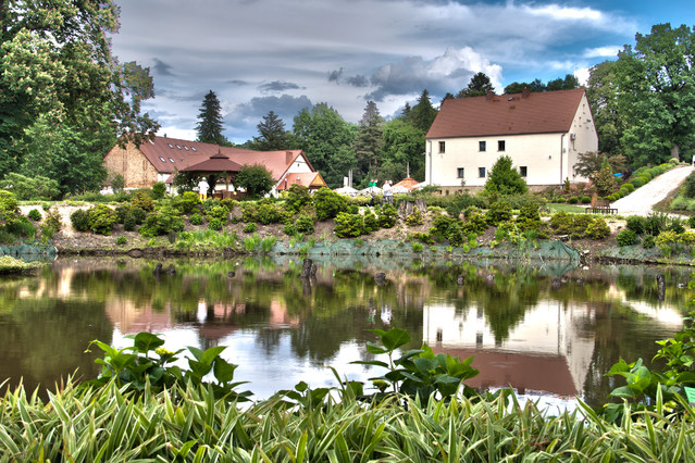 Photographer: Dariusz Golczewski Arboretum
