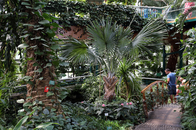 Piotr Jerzy Borzucki #326241