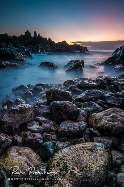 Raico Rosenberg #200841