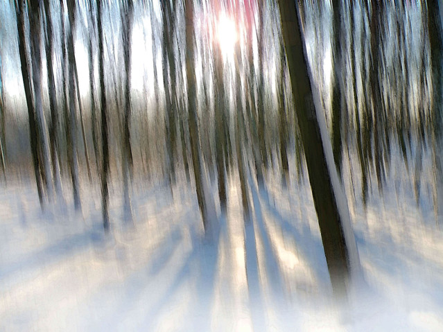 OLYMPUS DIGITAL CAMERA OLYMPUS DIGITAL CAMERA Talambur #198912