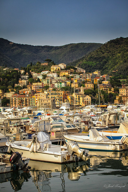 Photographer: Jacek Tomczak #213545