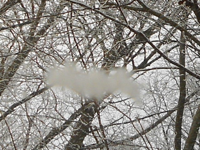 Artur Oziewicz #182812