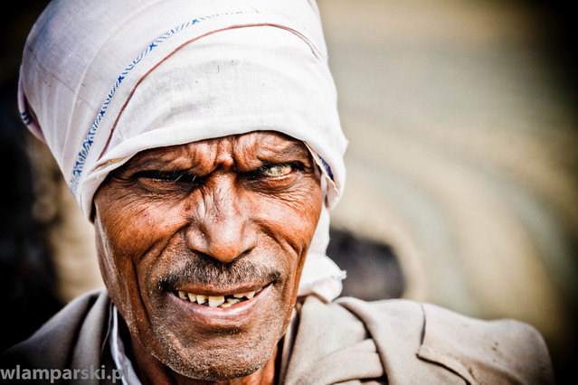 wlamparski@gmail.com 