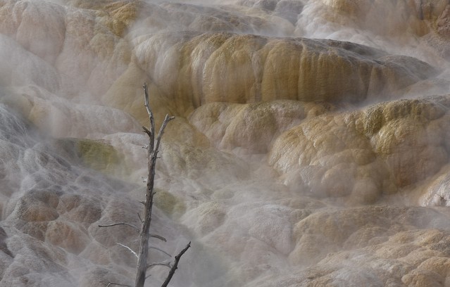 zaginiony świat Yellowstone Stanisław Hawrus #348537